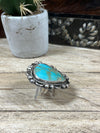 Arches Sterling Framed Large Turquoise Triangle Ring - Adjustable