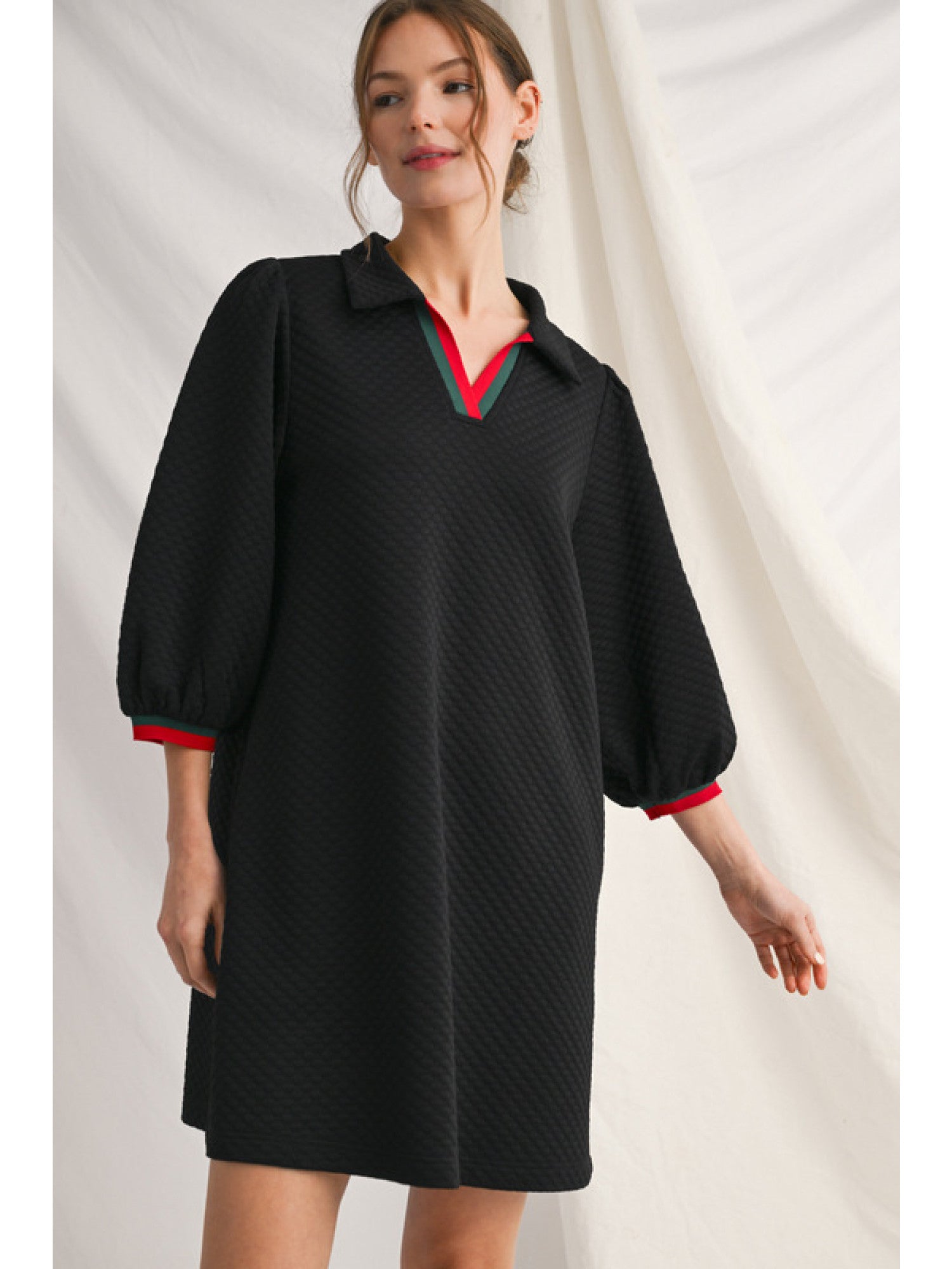 RG Textured Puff Sleeve Dress