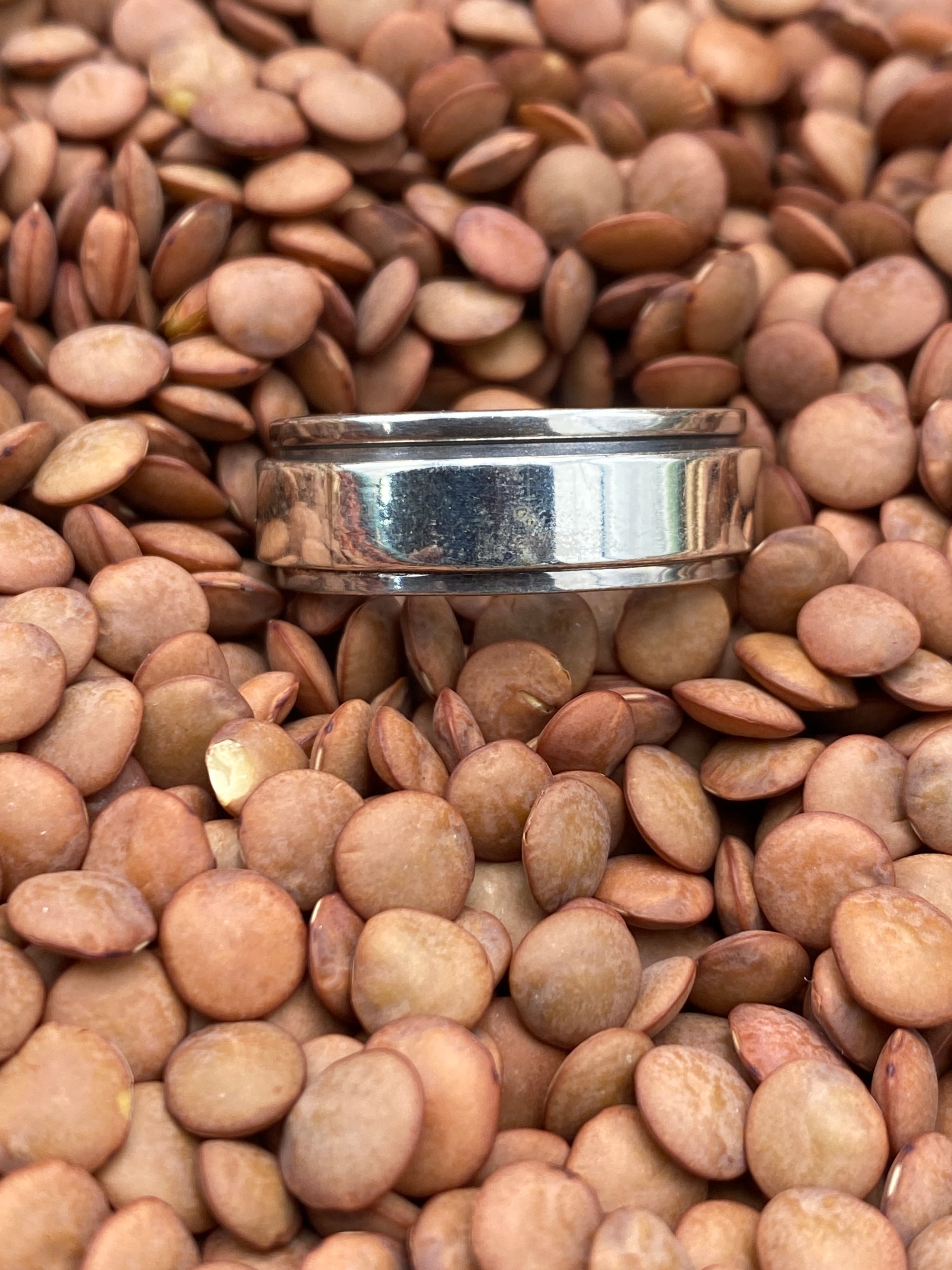 Lennon 7mm Smooth Sterling Spinner Ring - Size 11