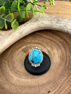 Hot Springs Double Band Sterling Framed Round Turquoise Ring - size 6.5