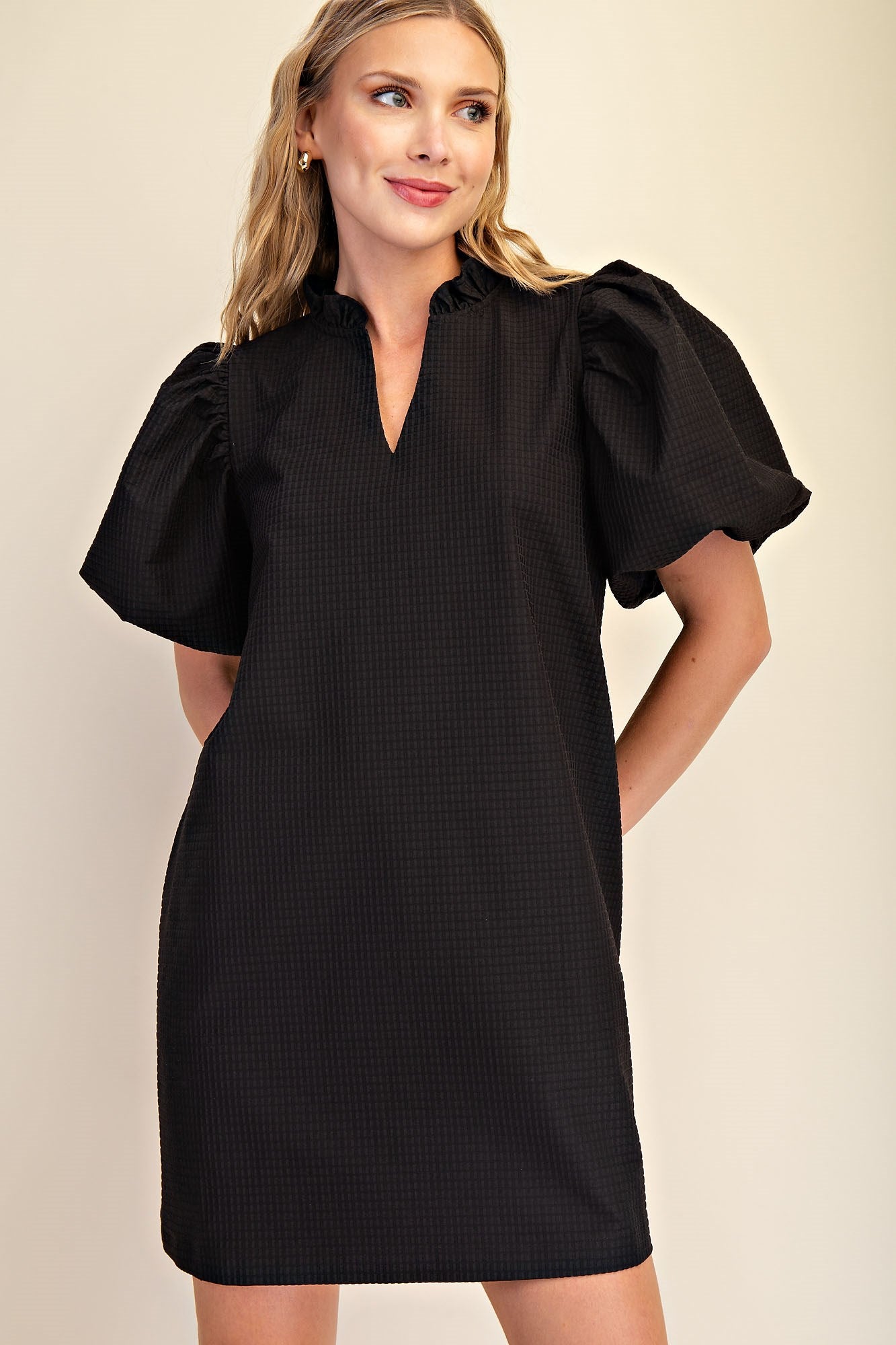 Ruffle V-Neck Puff Sleeve Mini Dress