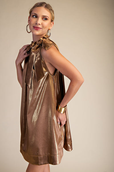 Round Neck Tie Sleeveless Mini Dress