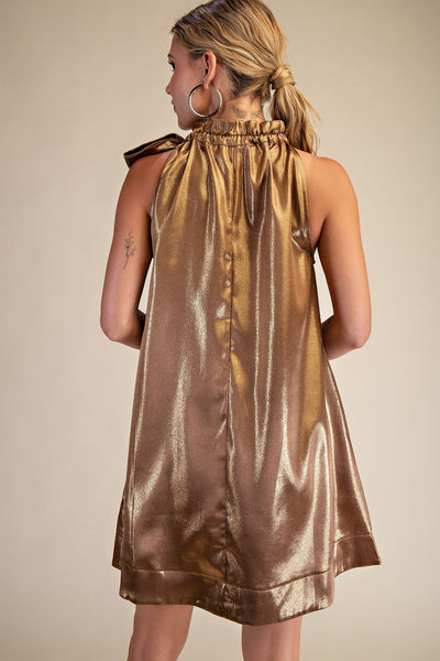 Round Neck Tie Sleeveless Mini Dress