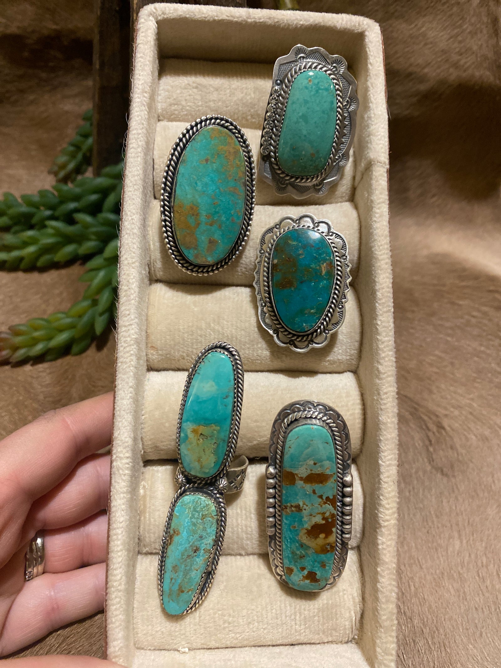 Mulligan Assorted Turquoise Sterling Rings - Adjustable