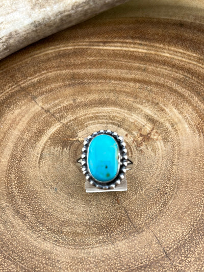 Kenai Fjords Sterling Framed Double Band Turquoise Ring