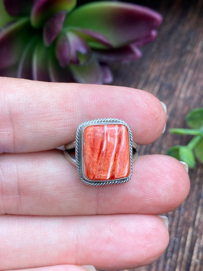 Concord Roped Spiny Double Band Sterling Ring - Size 8.5