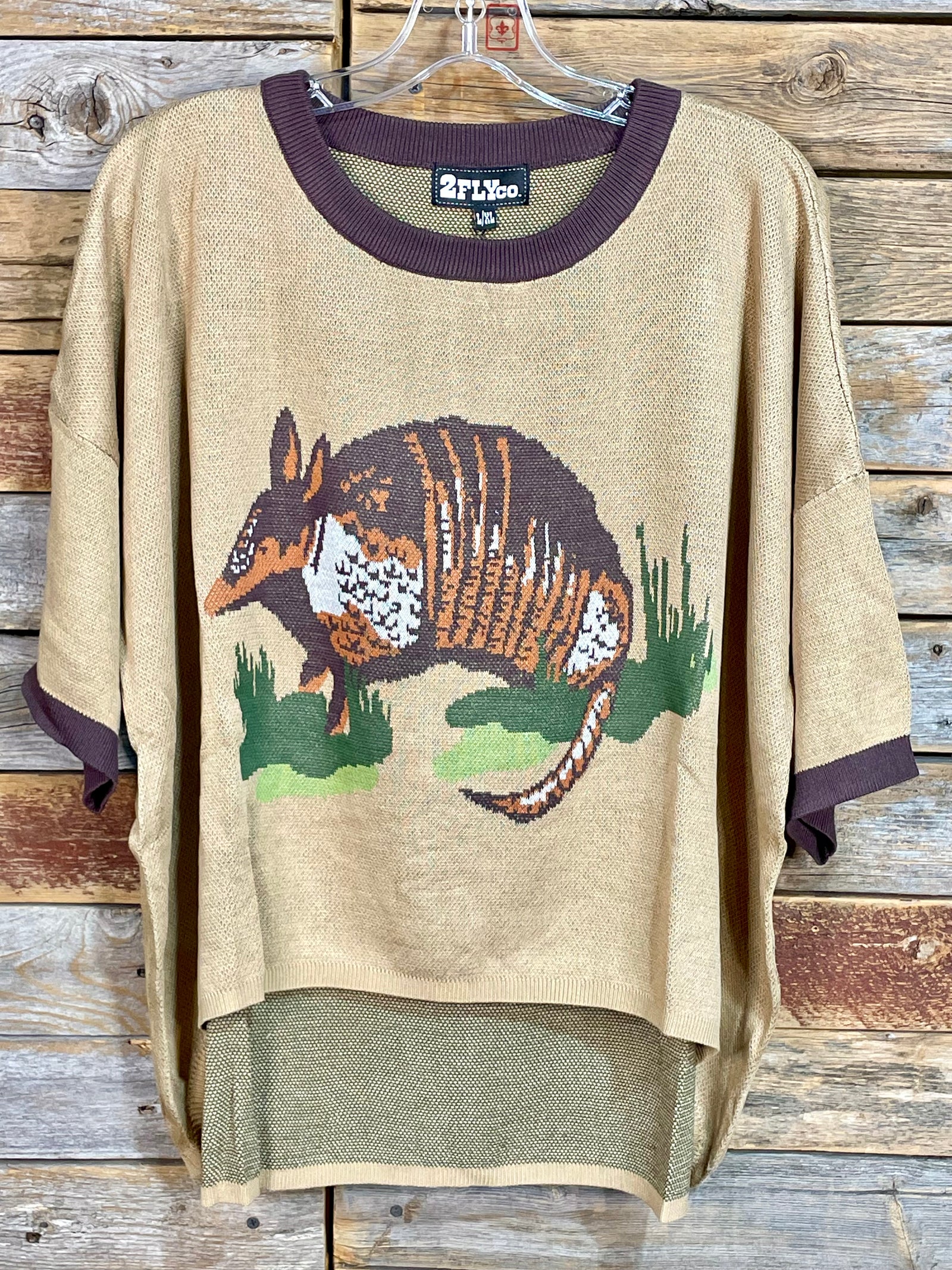 Dusty Dillo Oversized High Low Short Sleeve Top