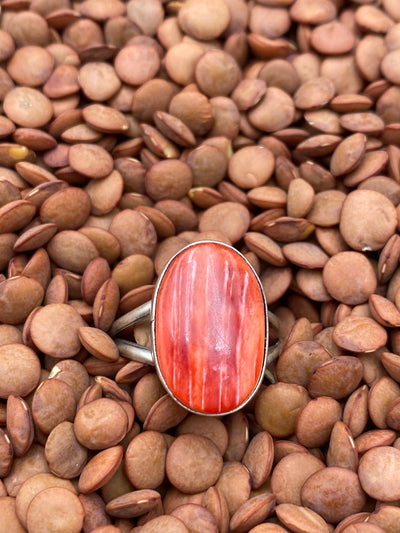 Dover Simple Sterling Red Spiny Ring - Size 7