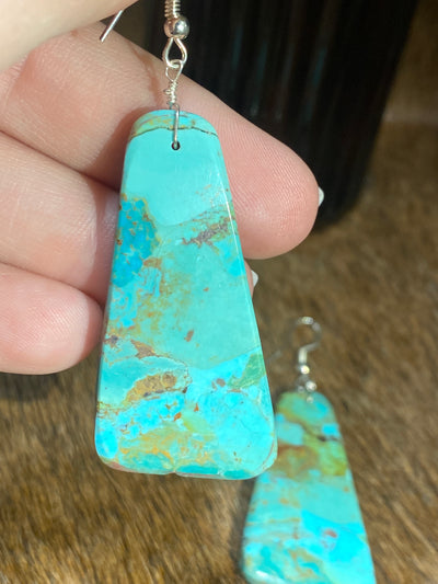 Asher Turquoise Teardrop Slab Fish Hook Earrings