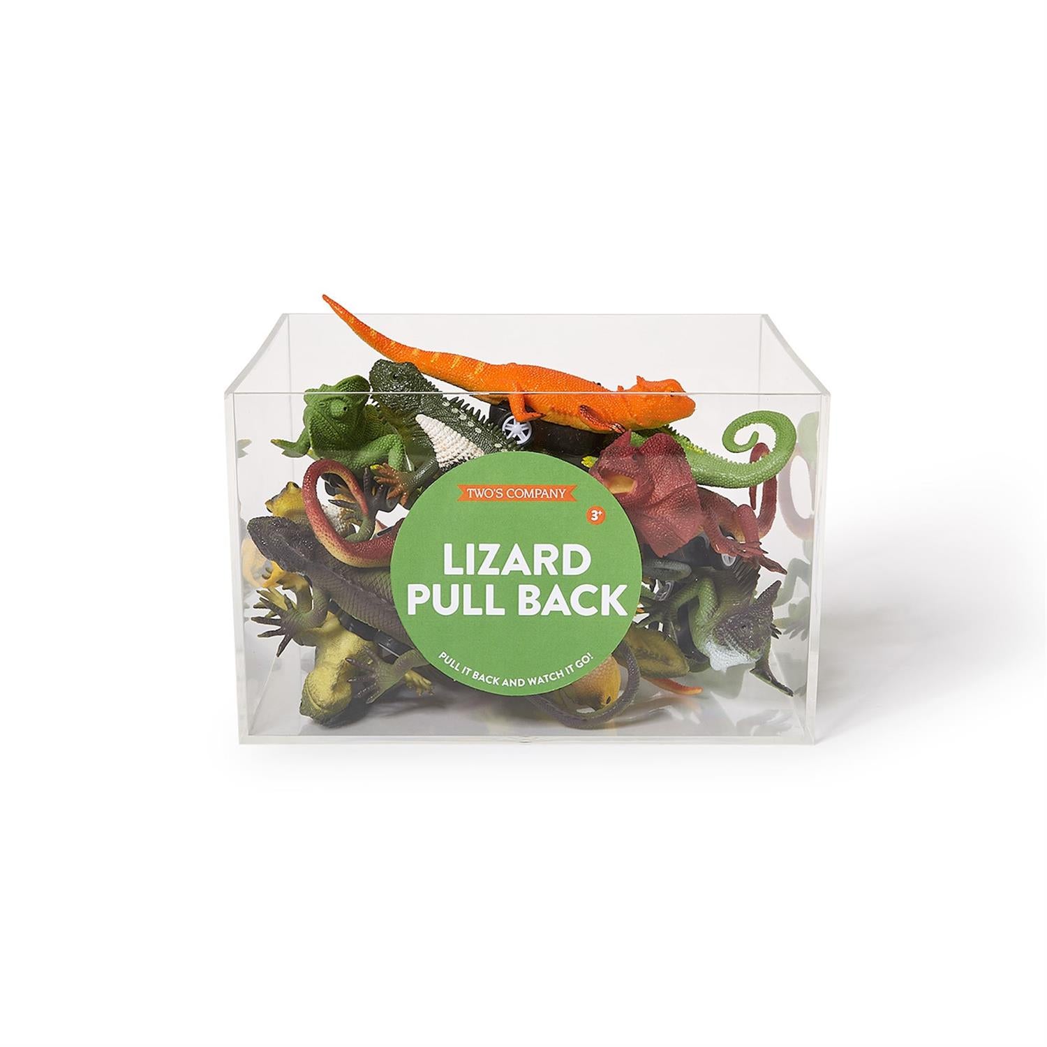 Zippy Pull Back Lizard Toy