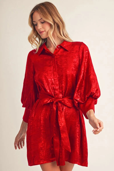 Ruby Metallic Tie Waist Dress