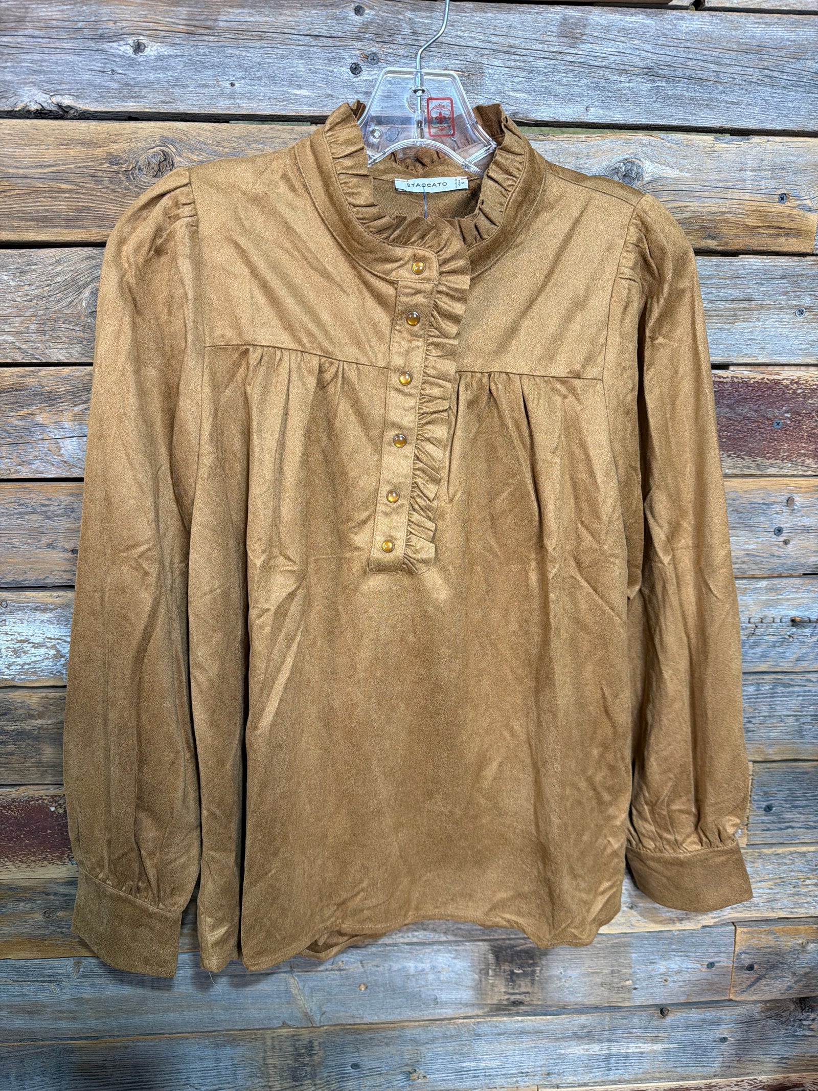 Catherine Long Sleeve Solid Suede Blouse