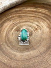 Kenai Fjords Sterling Framed Double Band Turquoise Ring