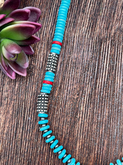 Necklace with blue and silver beads on a wooden surface with a succulent plant.