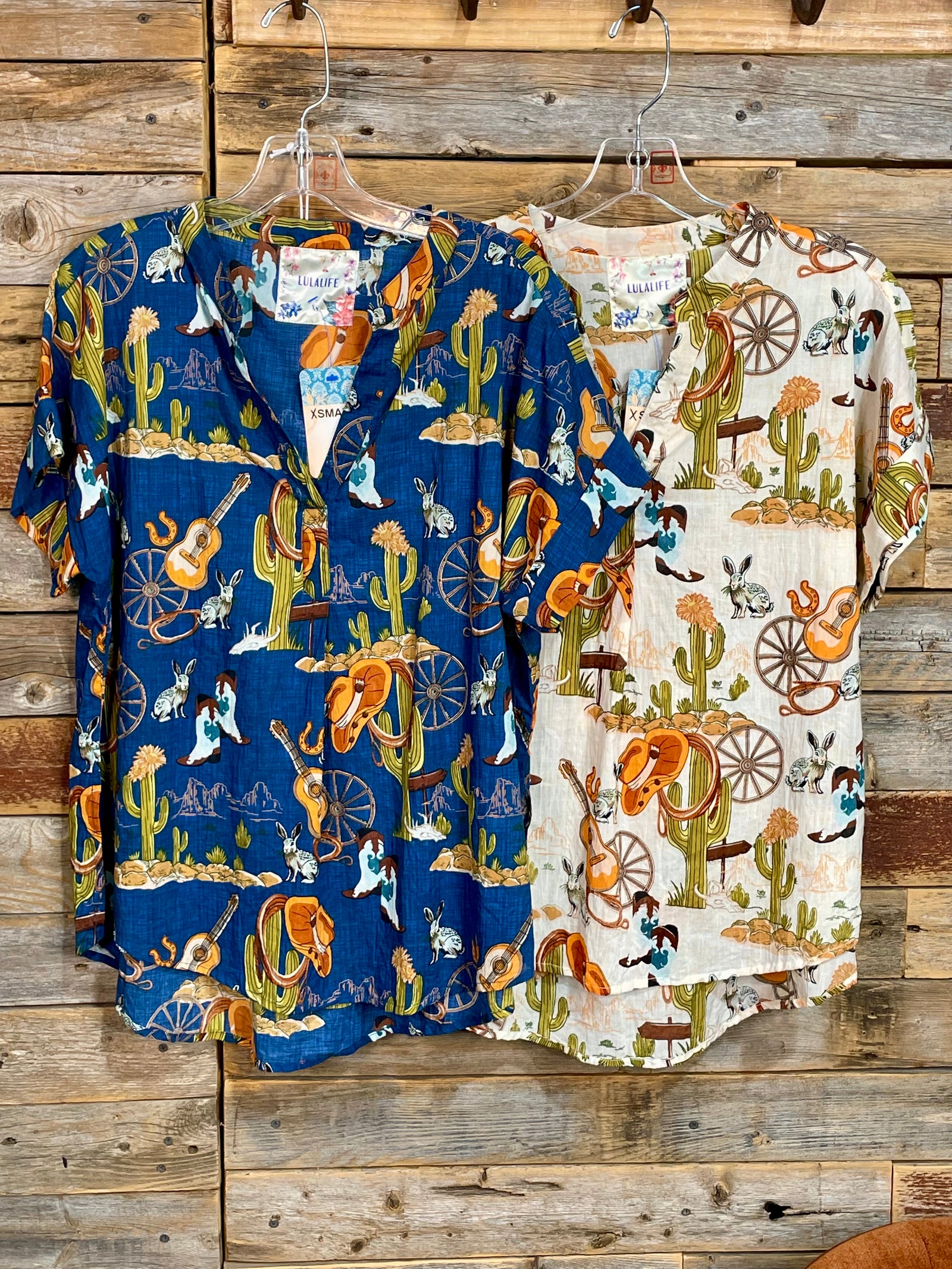 Hang Your Hat V Neck Prairie Top