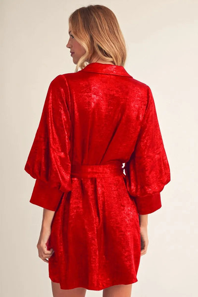 Ruby Metallic Tie Waist Dress