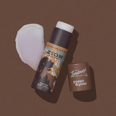 The Landmark Project, Lip Balm, Zion Cactus Mint Chill