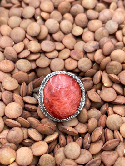 Nashua Round Roped Spiny Double Band Sterling Ring