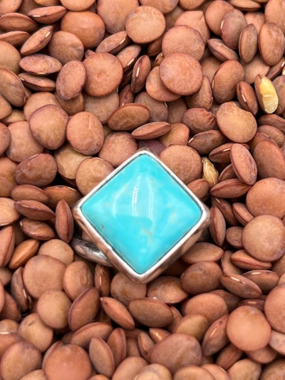 Coraline Double Band Sterling Turquoise Diamond Ring