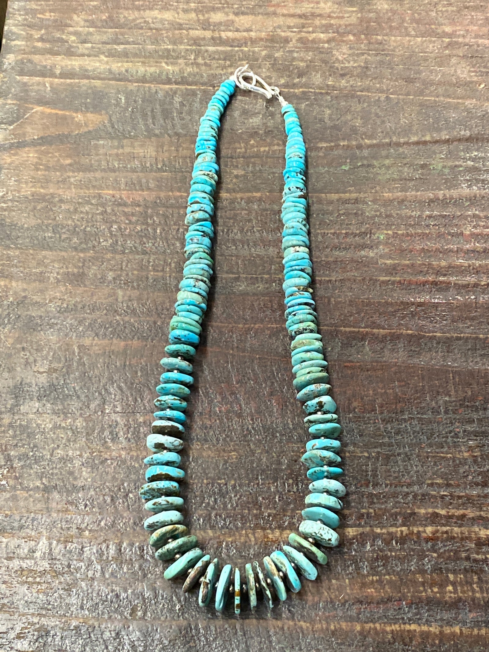 Alberta Varied Turquoise Disc Sterling Necklace