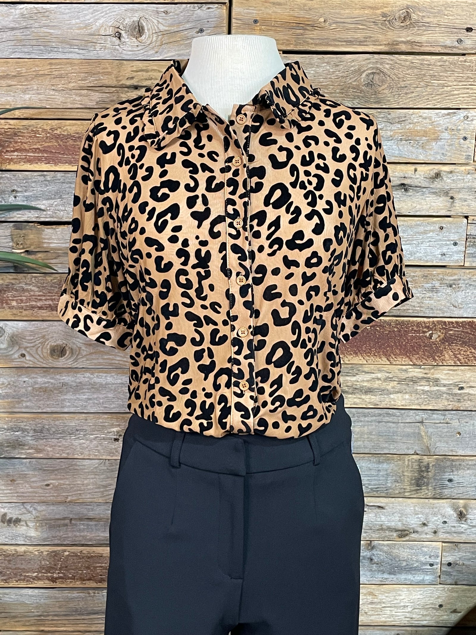Lindale Leopard Burnout Ruffle Collar Puff Sleeve Blouse