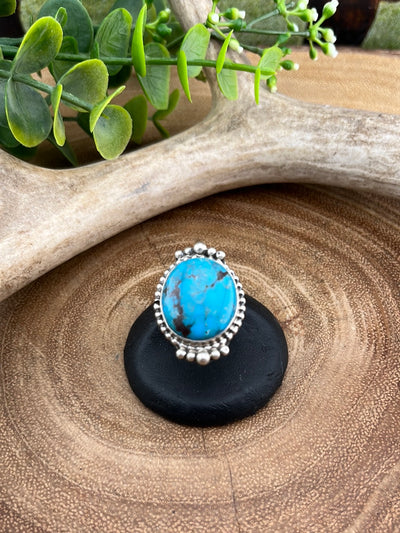 Hot Springs Double Band Sterling Framed Round Turquoise Ring - size 6.5