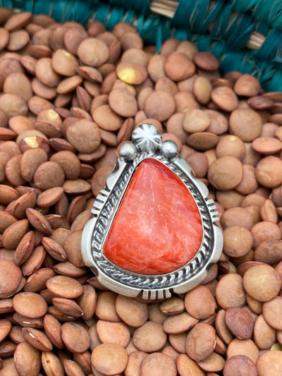 Mockingbird Sterling Burst Framed Spiny Ring - Adjustable