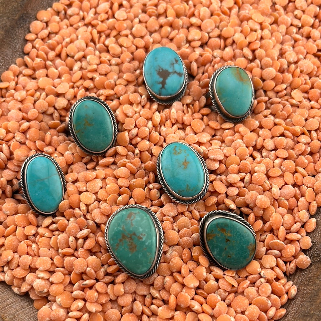 Lake Clark SterlingRoped Turquoise Ring