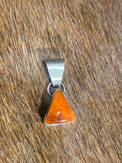 Franklin Smooth Sterling Framed Spiny Pendant