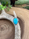 Lassen Sterling Double Band Dot Framed Turquoise Ring