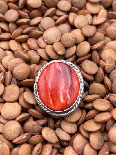 Nashua Round Roped Spiny Double Band Sterling Ring