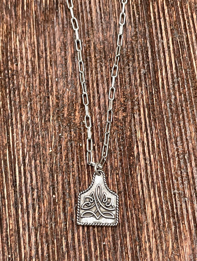 Silver necklace with a pendant on a wooden surface