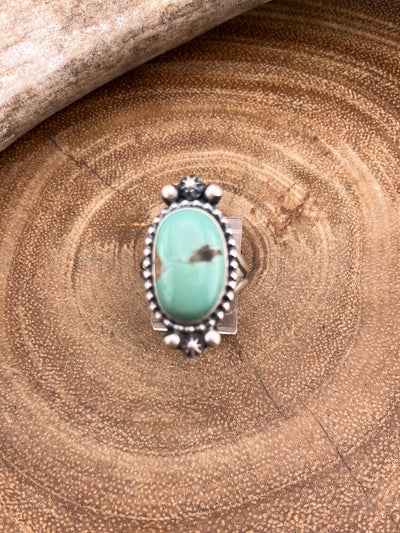Hawaii Dreams Double Band Sterling Framed Turquoise Ring