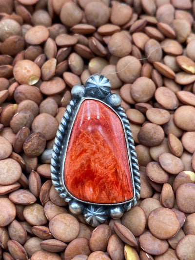 Mockingbird Sterling Burst Framed Spiny Ring - Adjustable