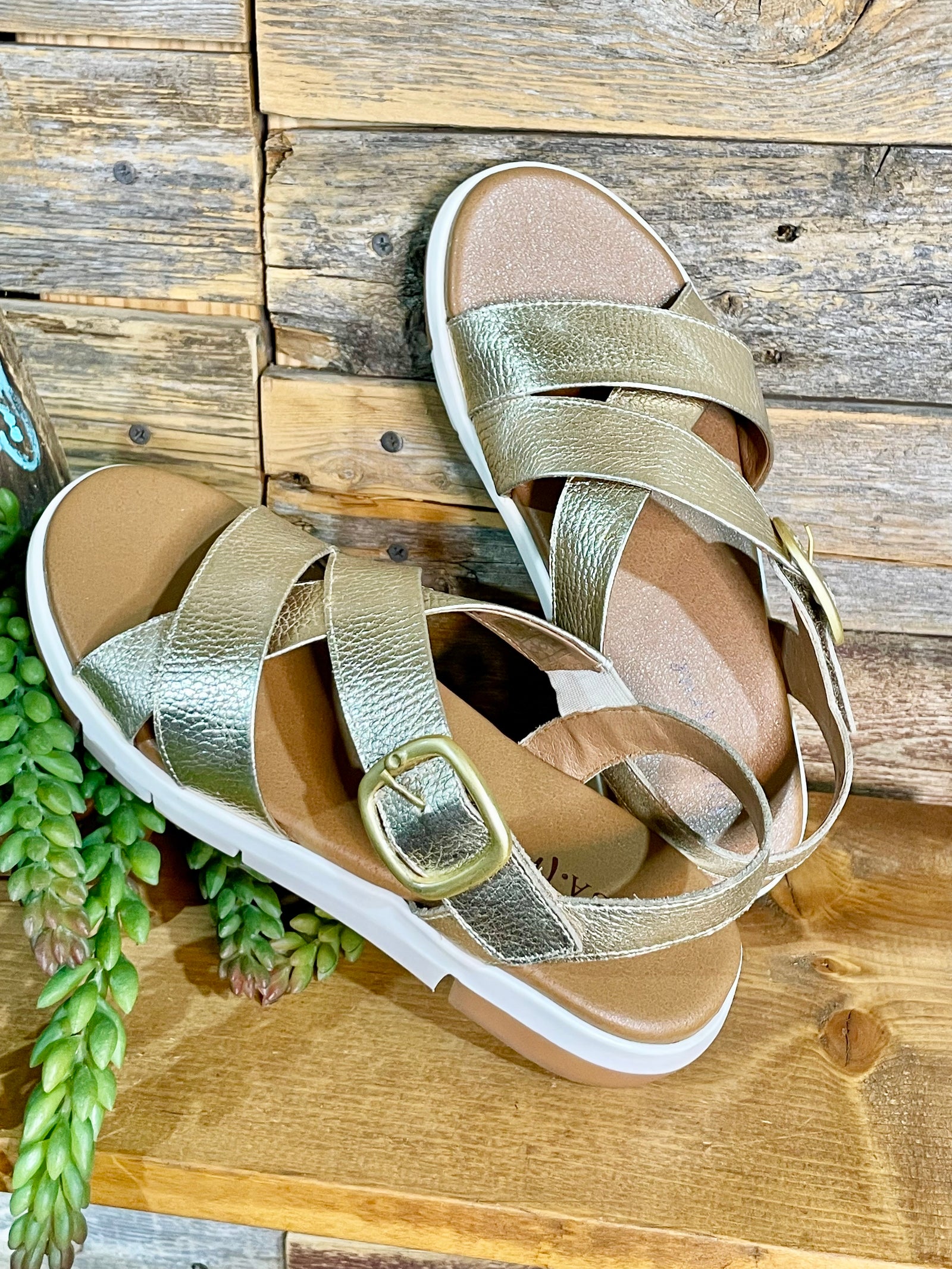 Advo Cate Sandals By Diba