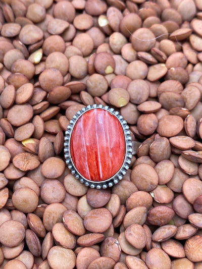 Derry Sterling Dot Framed Red Spiny Ring