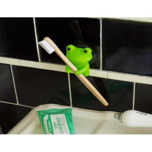 Frog Toothbrush Holder