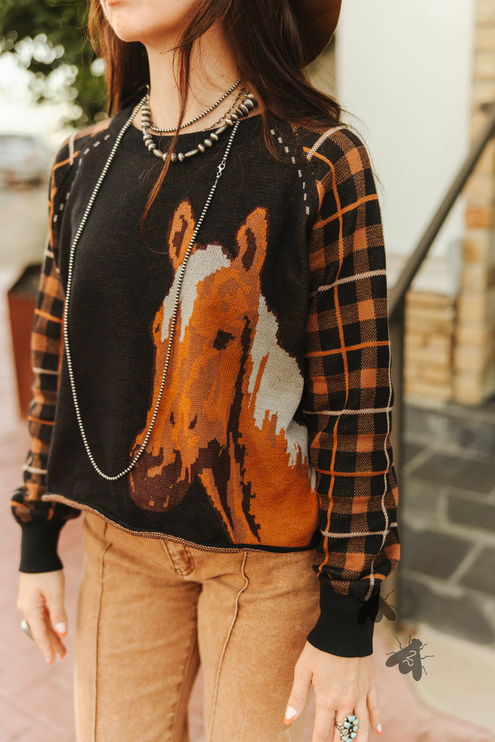Person wearing a sweater with a horse design and plaid pattern.