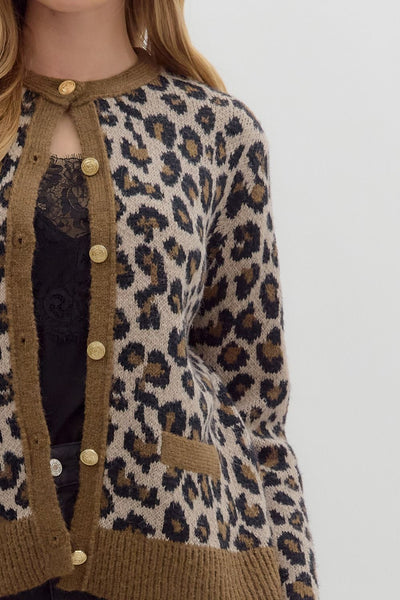 Leopard print cardigan with brown trim on a plain background