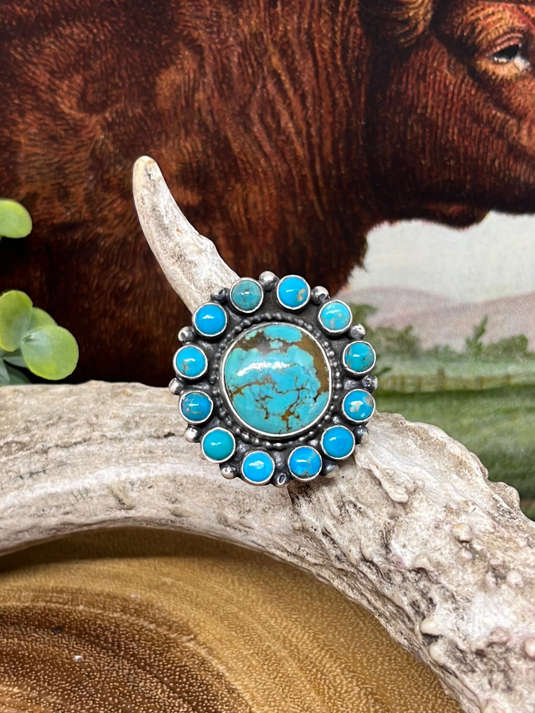 Carbon Sterling Round Turquoise Surround Adjustable Ring