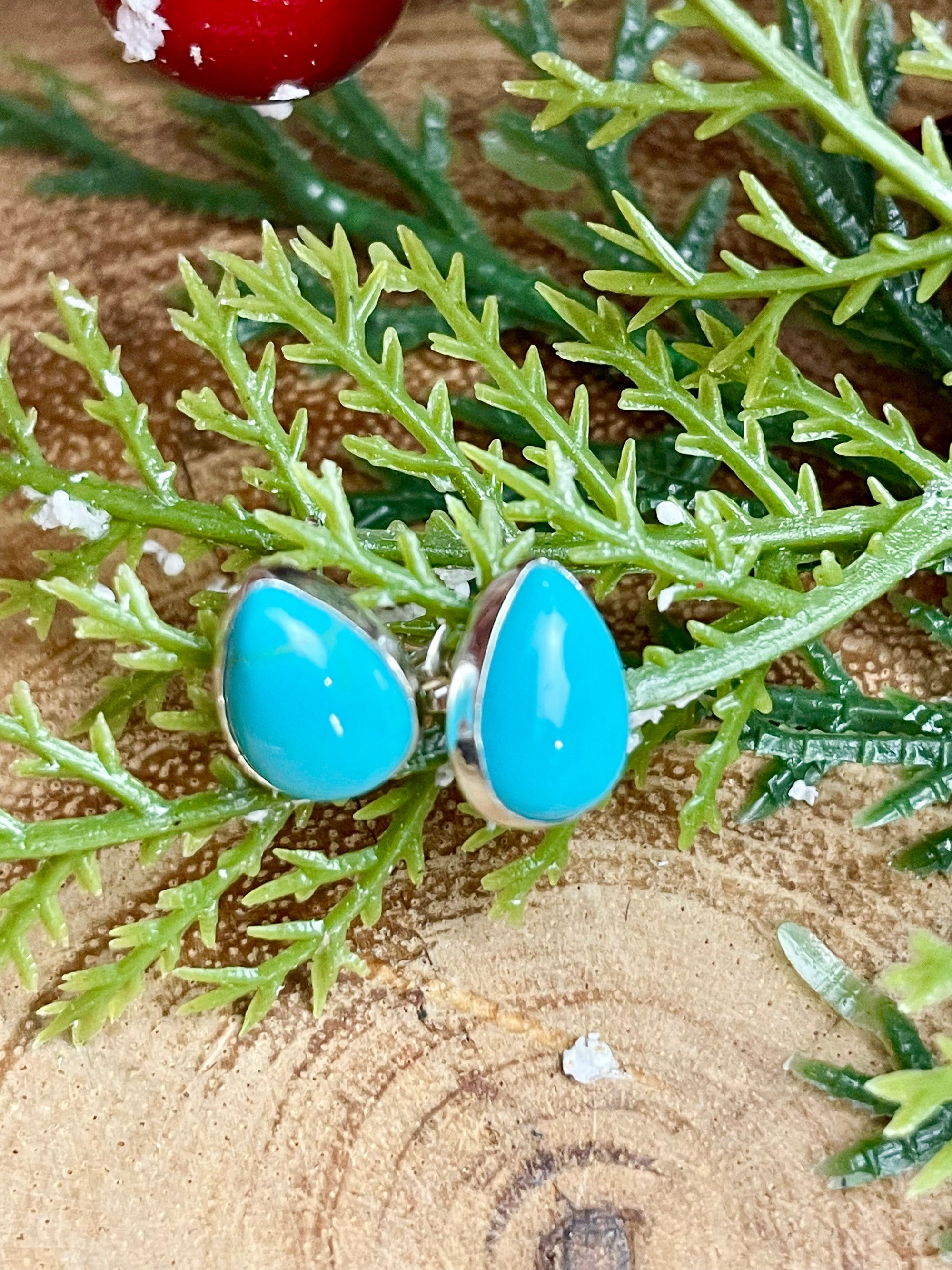 Brooklyn Petite Turquoise Teardrop Earrings
