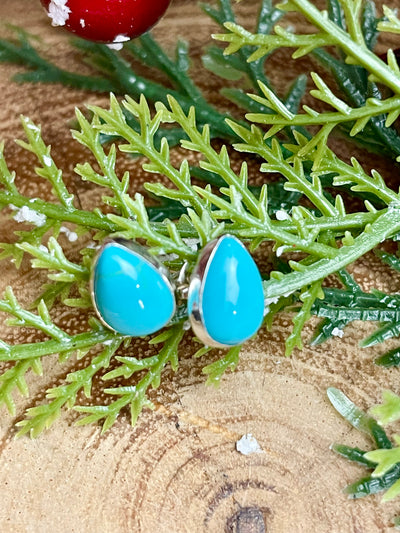 Brooklyn Petite Turquoise Teardrop Earrings