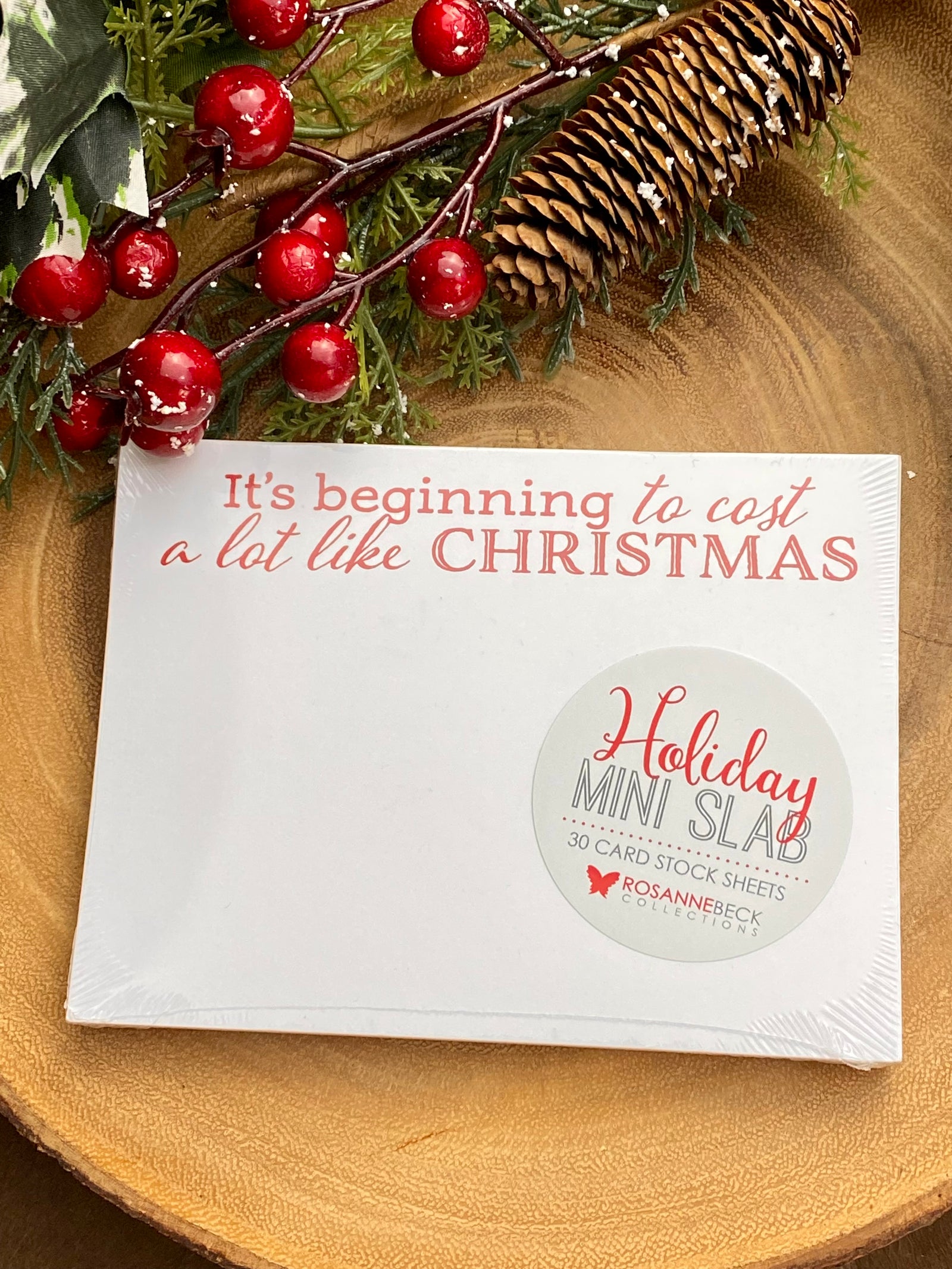 Mini Slab Pad - It's Beginning to Cost